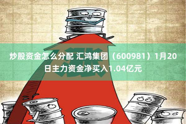 炒股资金怎么分配 汇鸿集团（600981）1月20日主力资金净买入1.04亿元